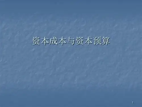 资本成本与资本预算ppt课件