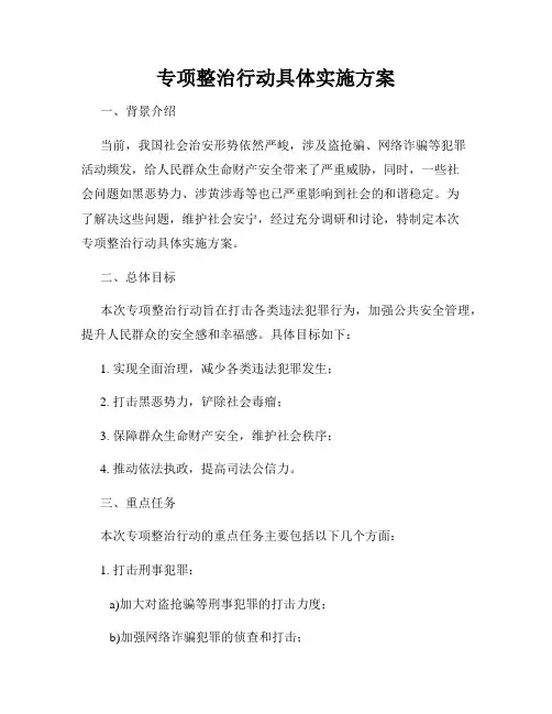 专项整治行动具体实施方案