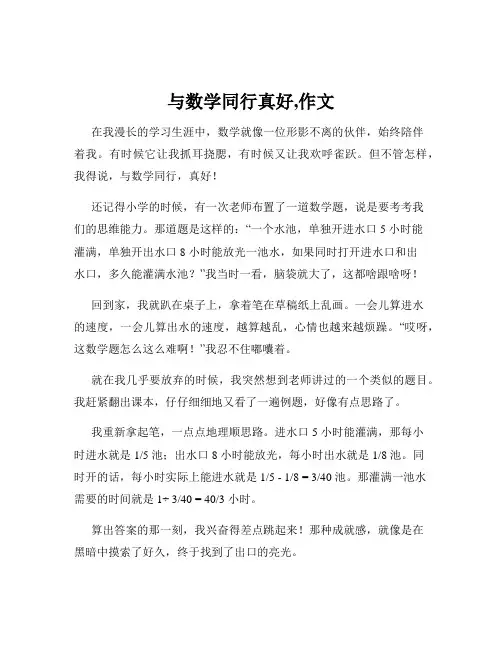 与数学同行真好,作文