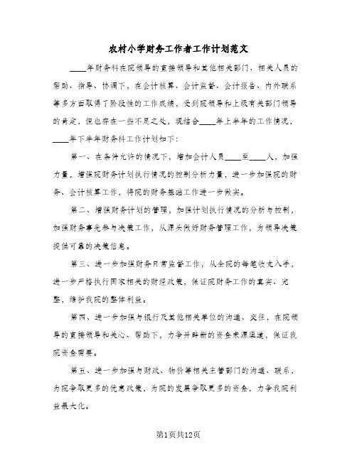 农村小学财务工作者工作计划范文(4篇)