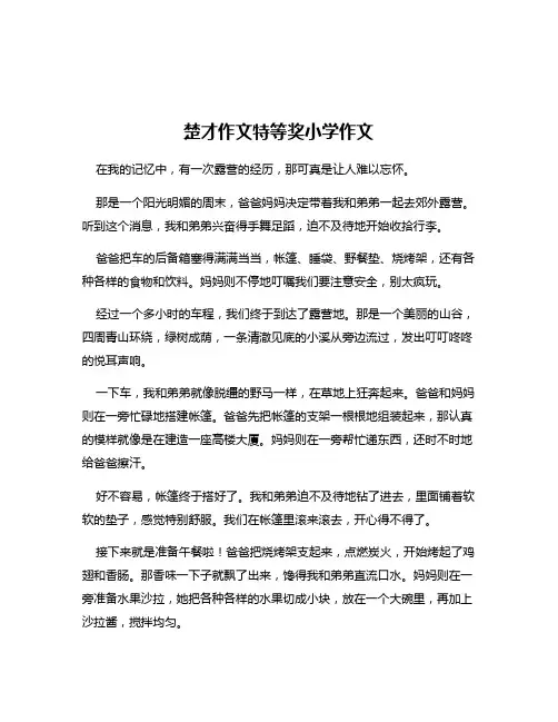 楚才作文特等奖小学作文