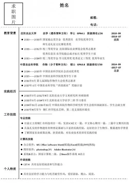 求职简历模板