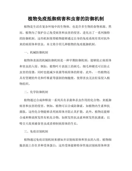 植物免疫抵御病害和虫害的防御机制
