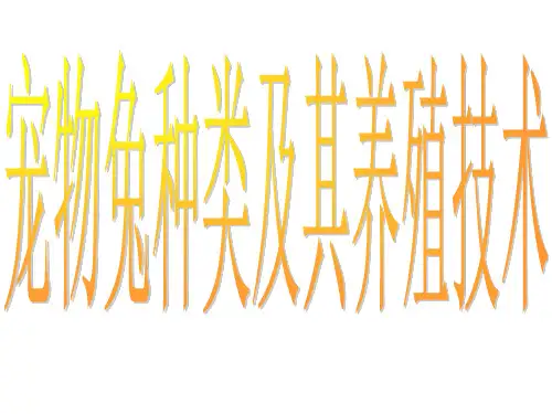 宠物兔种类及其养殖技术