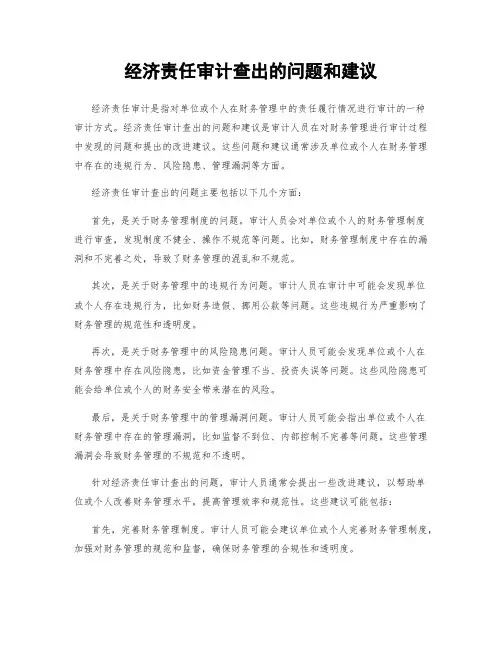经济责任审计查出的问题和建议