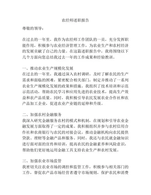 农经师述职报告