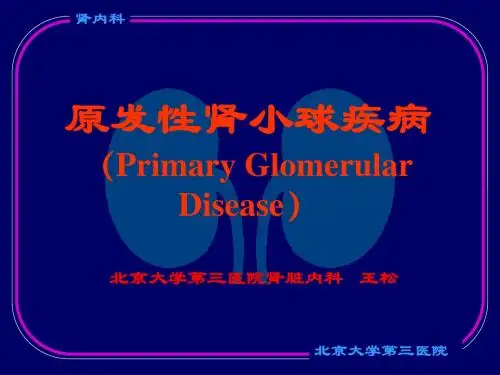肾小球疾病46283