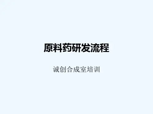 原料药研发流程 ppt课件