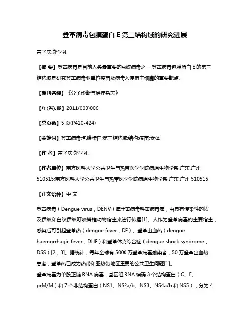 登革病毒包膜蛋白E第三结构域的研究进展
