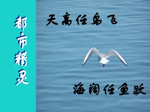 八年级语上册-第五单元 第21课《都市精灵》教学课件 苏教版