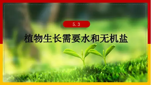 5-3植物生长需要无机盐课件2022--2023学年苏教版生物七年级上册