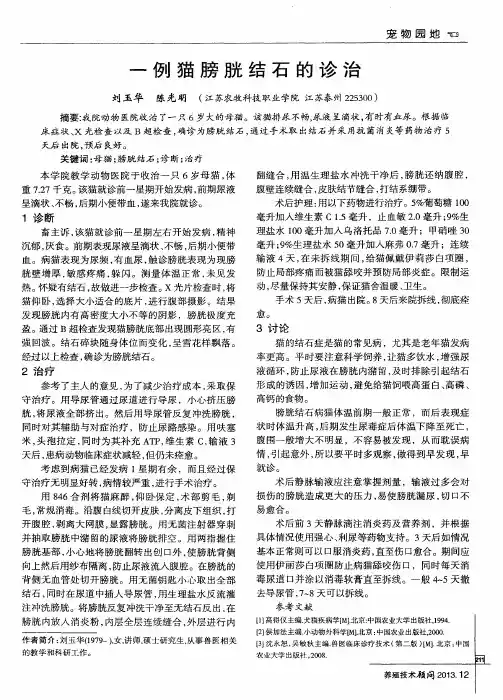一例猫膀胱结石的诊治