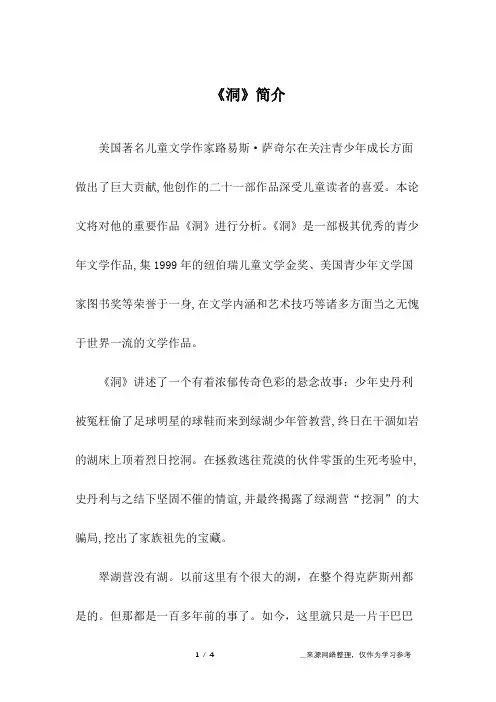 《洞》简介