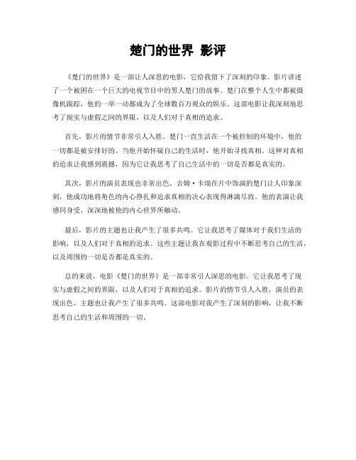 楚门的世界 影评