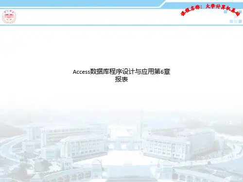 Access数据库程序设计与应用第6章 报表