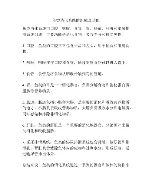 鱼类消化系统的组成及功能
