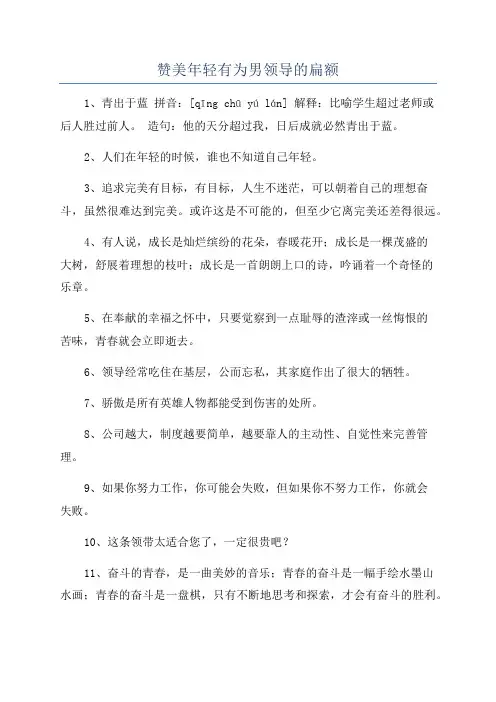 赞美年轻有为男领导的扁额