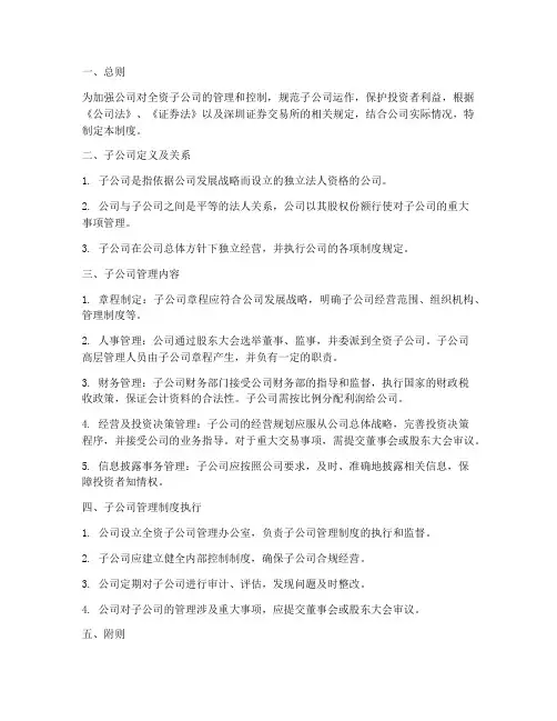 对全资子公司管理制度