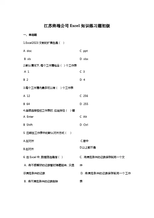 2023年excel知识练习题初级题库