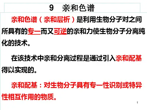 9 亲和色谱