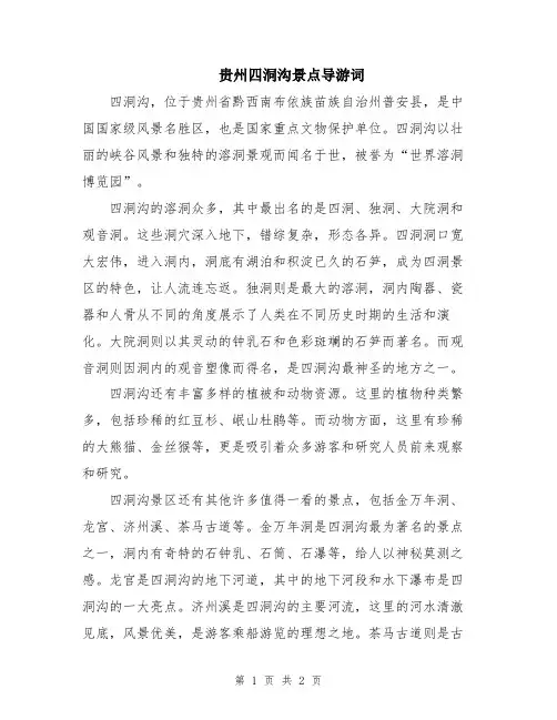 贵州四洞沟景点导游词