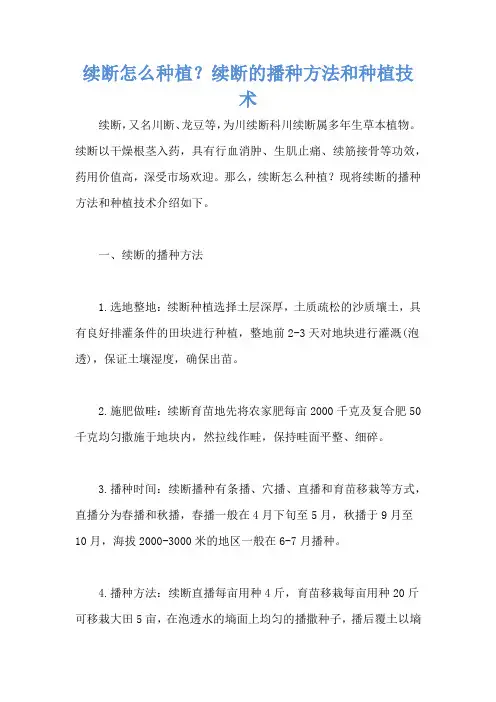 续断怎么种植？续断的播种方法和种植技术