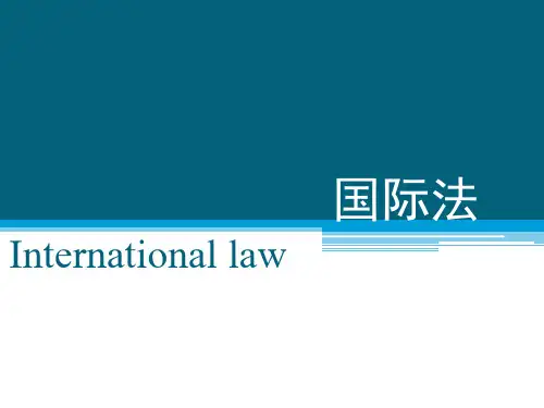 国际法导论2