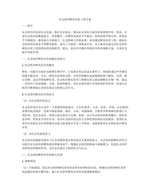 社会组织孵化培育工程方案
