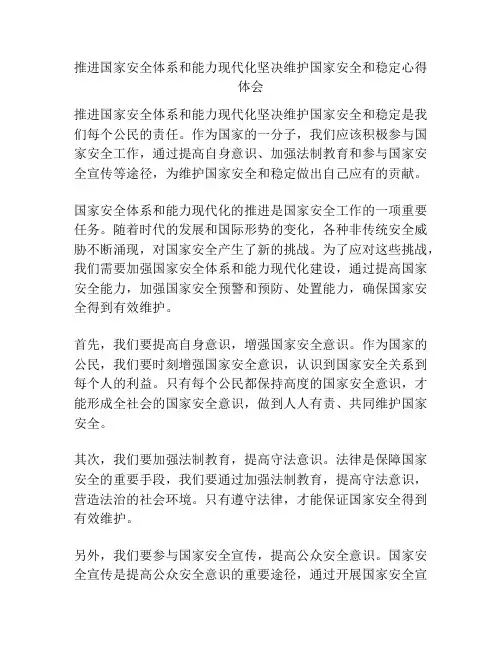 推进国家安全体系和能力现代化坚决维护国家安全和稳定心得体会
