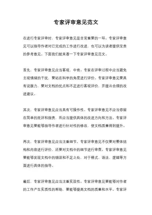 专家评审意见范文