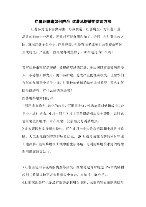 红薯地蛴螬如何防治 红薯地蛴螬的防治方法