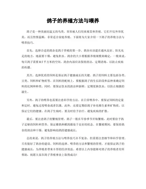 鸽子的养殖方法与喂养