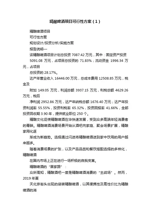 精酿啤酒项目可行性方案（1）