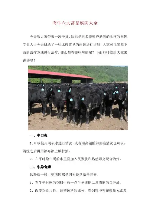 肉牛六大常见疾病大全