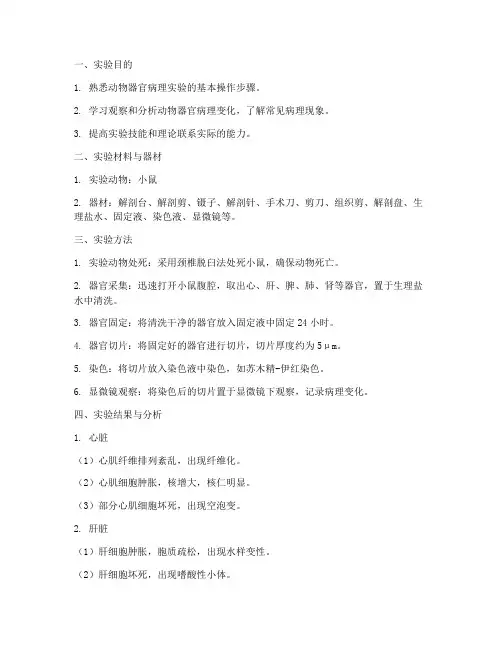 动物器官病理实验报告
