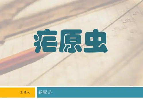 疟原虫