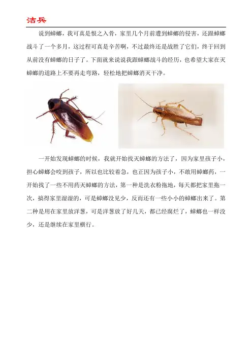 蟑螂用什么药消灭彻底