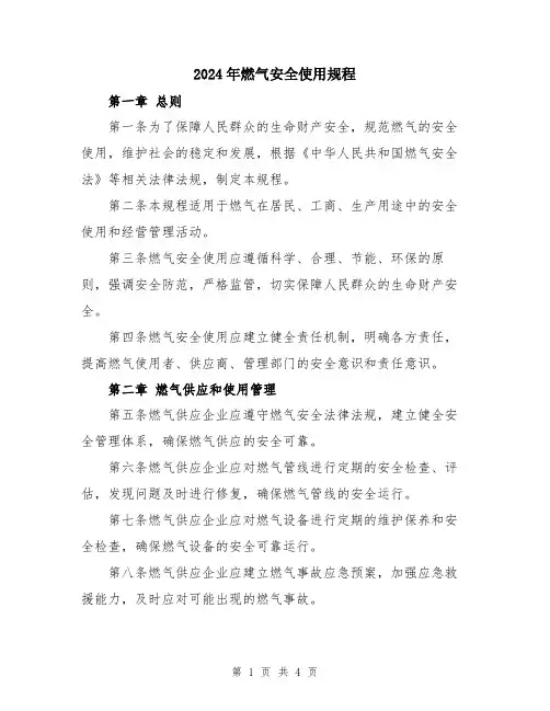 2024年燃气安全使用规程