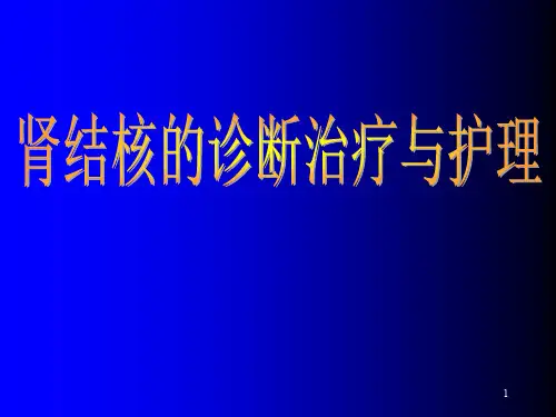 肾结核的诊断与治疗ppt课件
