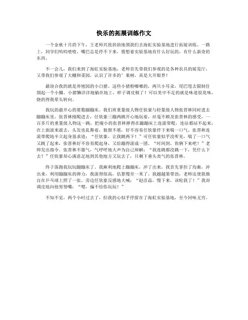 快乐的拓展训练作文