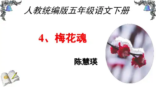 五年级【下】册语文-《梅花魂》人教(部编版)(28张ppt)公开课课件