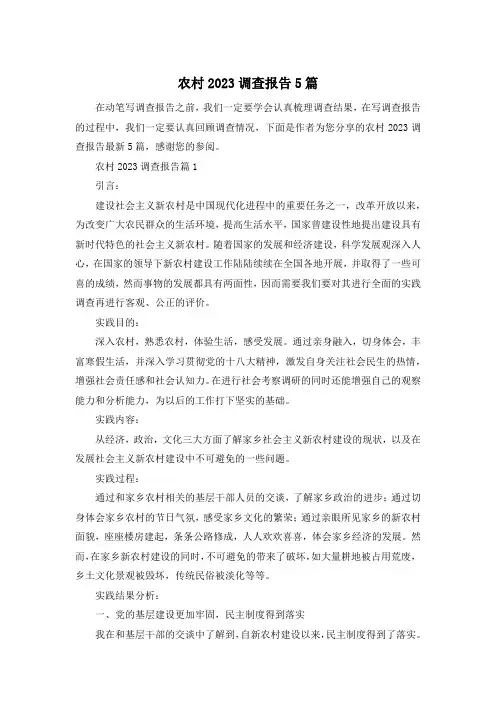 农村2023调查报告5篇