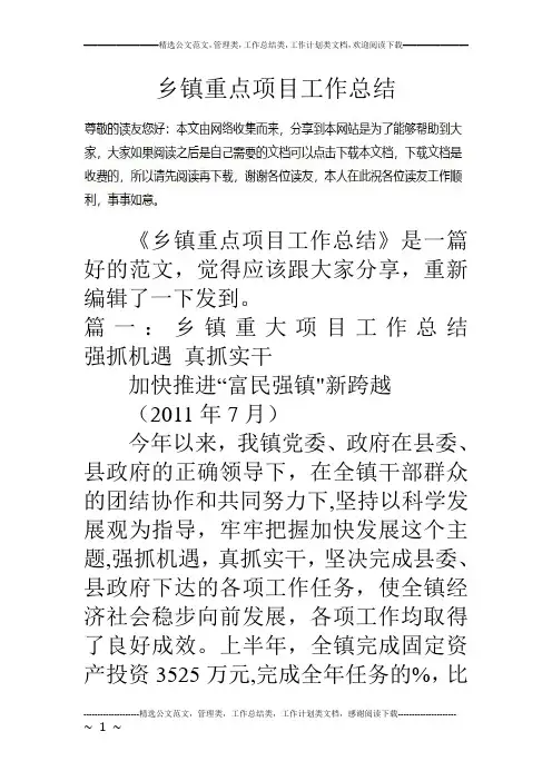 乡镇重点项目工作总结