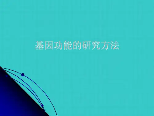 基因功能的研究方法