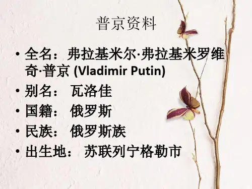 当代全球炙手可热、引领世界政治人物研究：普京到底是个咋样的人共39页文档