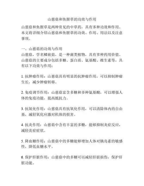 山慈菇和鱼腥草的功效与作用