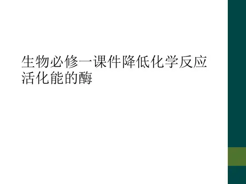 生物必修一课件降低化学反应活化能的酶