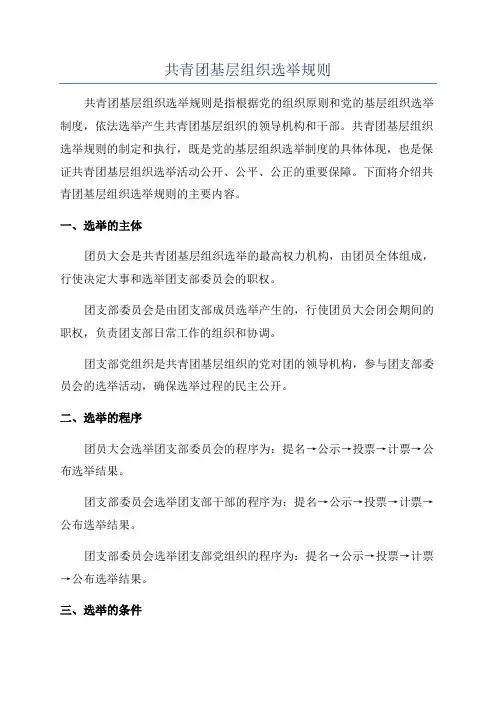 共青团基层组织选举规则
