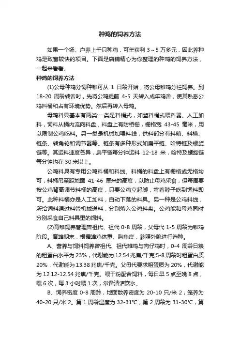 种鸡的饲养方法