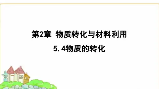 浙教版九年级科学上册2.5.4物质的转化课件